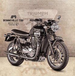 Triumph T120  Toulouse.jpg