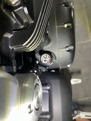 IMG_3052.jpeg